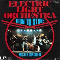Electric Light Orchestra - Turn To Stone cover