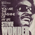 Stevie Wonder - You Are The Sunshine Of My Life cover