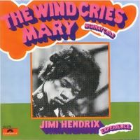The Jimi Hendrix Experience - The Wind Cries Mary cover