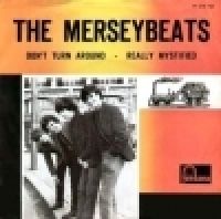 The Merseybeats - Don't Turn Around cover