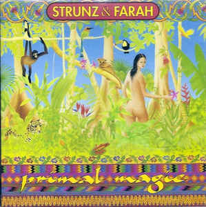Strunz & Farah - Ida y vuelta cover