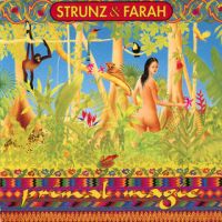 Strunz & Farah - Rainmaker cover
