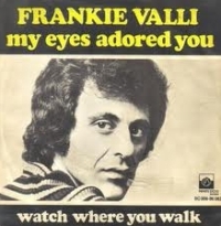 Frankie Valli - My Eyes Adored You cover