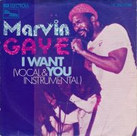 Marvin Gaye - I Want You cover
