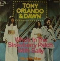 Tony Orlando & Dawn - Who's In The Strawberry Patch With Sally cover