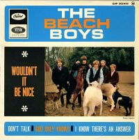The Beach Boys - Wouldn't It Be Nice cover