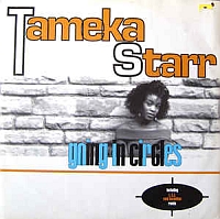 Tameka Starr - Going in Circles (LTJ Soul Invention remix) cover