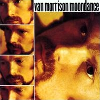 Van Morrison - Moondance cover