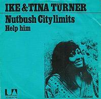 Tina Turner - Nutbush City Limits cover