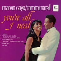 Marvin Gaye & Tammi Terrell - You're All I Need To Get By cover