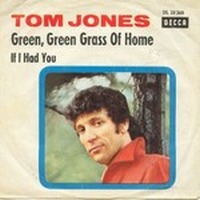 Tom Jones - Green Green Grass Of Home cover