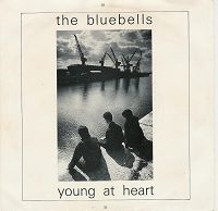 Bluebells - Young At Heart cover