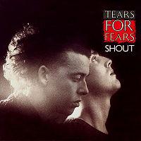 Tears For Fears - Shout cover