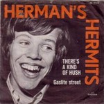Herman's Hermits - There's A Kind Of Hush cover