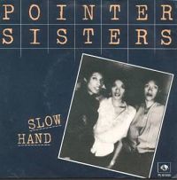 Pointer Sisters - Slow Hand cover