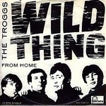 The Troggs - Wild Thing cover