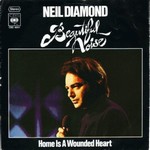Neil Diamond - Beautiful Noise cover