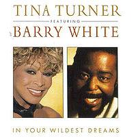 Tina Turner & Barry White - In Your Wildest Dreams cover