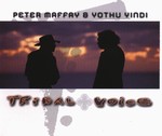 Peter Maffay - Tribal Voice cover