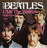 Beatles - I'm The Walrus cover
