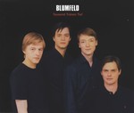 Blumfeld - Tausend Trnen tief cover