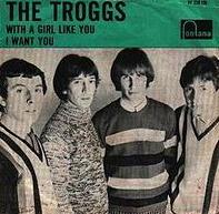 The Troggs - With A Girl Like You cover