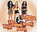 Passion Fruit - The Rigga-Ding-Dong-Song cover