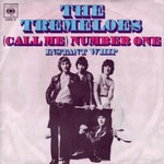 The Tremeloes - Call Me Number One cover