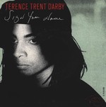 Terence Trent D'Arby - Sign Your Name cover