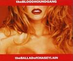 Bloodhound Gang - The Ballad Of Chasey Lain cover