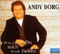 Andy Borg - Wie kannst Du mich bloss lieben? cover