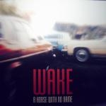Wake - A Horse With No Name cover