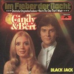 Cindy & Bert - Im Fieber der Nacht cover