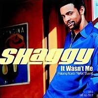 Shaggy - It Wasn't Me cover