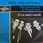 The Shadows - The Rise And Fall Of Flingle Bunt cover