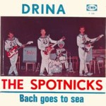 The Spotnicks - Drina march cover