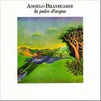 Angelo Branduardi - Il poeta di corte cover