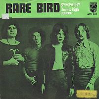 Rare Bird - Sympathy cover