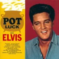 Elvis Presley - Fountain of love cover