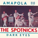The Spotnicks - Amapola cover