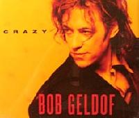 Bob Geldof - Crazy cover