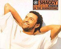 Shaggy - In The Summertime cover