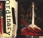 Duran Duran - Ordinary World cover