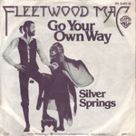 Fleetwood Mac - Silver Springs cover