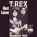 T. Rex - Hot Love cover