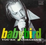 Babybird - You're Gorgeous cover