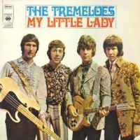 The Tremeloes - My Little Lady cover