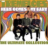 The Tremeloes - Here Comes My Baby cover