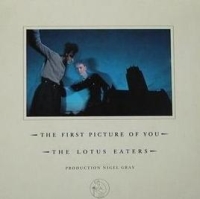Lotus Eaters - The First Picture Of You cover