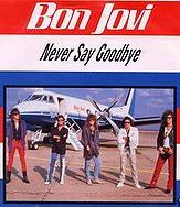 Bon Jovi - Never Say Goodbye cover